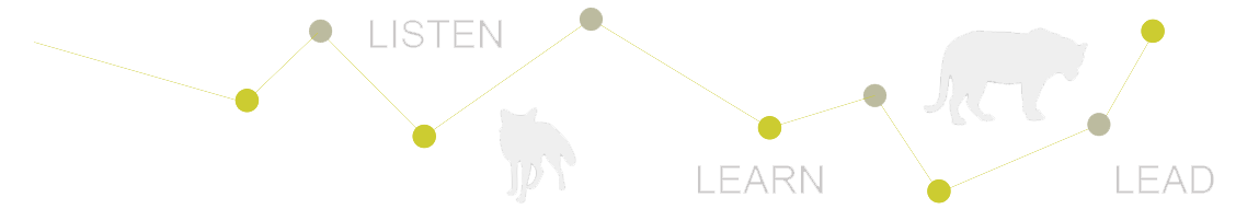 listen-learn-lead